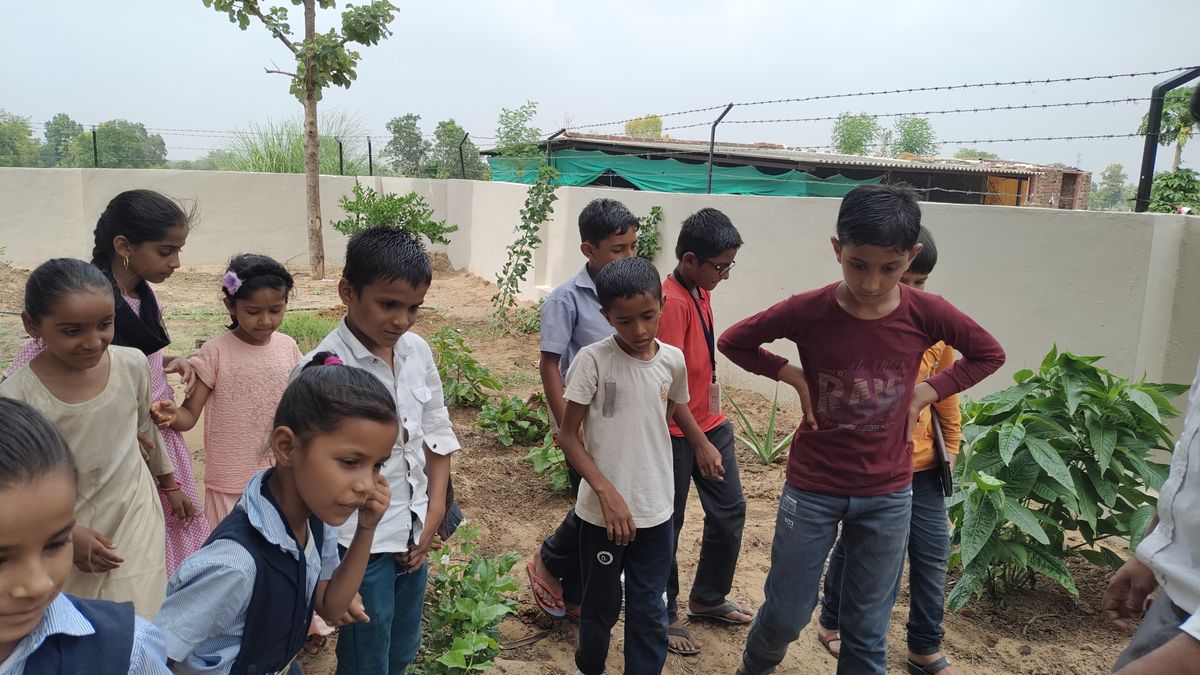 Nature Club Activity